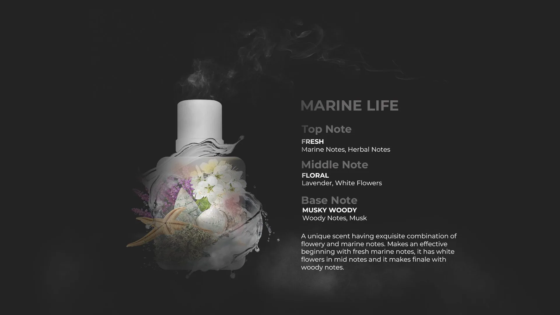 Marine Life